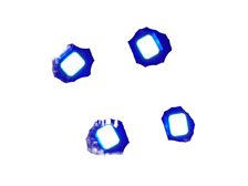Wireless LED Coil L Size Exclusive Module (4 Pieces) Blue (Material)