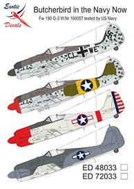 Butcherbird in the Navy Now Fw 190 G-3 W.Nr 160057 tested by US Navy (Decal)