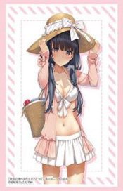 Bushiroad Sleeve Collection HG Vol.4814 Kadokawa Sneaker Bunko Mamahaha no Tsurego ga Motokano Datta [Yume Irido] Swimwear Ver. (Card Sleeve)