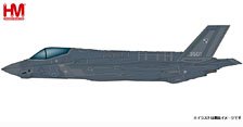 F-35A ライトニング2 `ポーランド空軍w/RAM塗装 2024` (完成品飛行機)