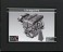 2T-G Engine (Metal/Resin kit) パッケージ1 Thumbnail