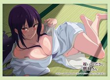 Bushiroad Sleeve Collection HG Vol.4837 TV Animation [Please Put Them On, Takamine-san] [Takane Takamine] Underwear Ver. (Card Sleeve)