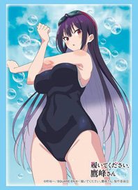 Bushiroad Sleeve Collection HG Vol.4838 TV Animation [Please Put Them On, Takamine-san] [Takane Takamine] Swimwear Ver. (Card Sleeve)