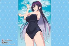 Bushiroad Rubber Mat Collection V2 Vol.1736 TV Animation [Please Put Them On, Takamine-san] [Takane Takamine] Swimwear Ver. (Card Supplies)