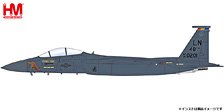 F-15E ストライクイーグル `アメリカ空軍 第494戦闘飛行隊` (完成品飛行機)