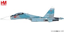 Su-30SM Red 57/RF-61768, Russian Air Force, 2018 (Pre-built Aircraft)
