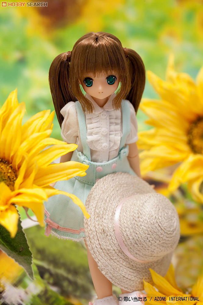 EX Cute Family / Nina`s Summer Holiday  (Fashion Doll) Item picture5