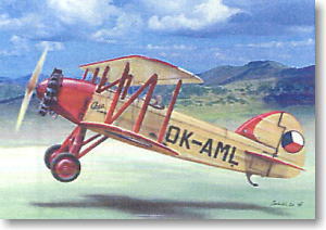 Avia Ba.122 Kastor/Pollux Engine (Plastic model)