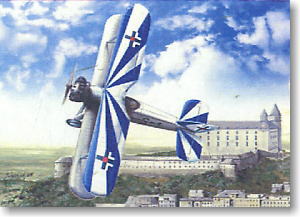 Avia Ba.122 Avia Rk17 Engine (Plastic model)