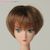 27cm Wig Short S (Brown) (Fashion Doll) Item picture1