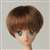 27cm Wig Short M (Brown) (Fashion Doll) Other picture1