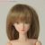 27cm Wig Semi-Long S (Ash Gold) (Fashion Doll) Item picture1
