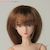 27cm Wig Semi-Long S (Brown) (Fashion Doll) Item picture1