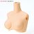 Soft Bust Parts 1 (Whity) (Fashion Doll) Item picture1