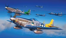 Tales of Iwojima P-51D Dual Combo Limited Edition (Plastic model)