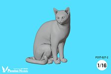 Cat 2 (1 Piece) (Plastic model)
