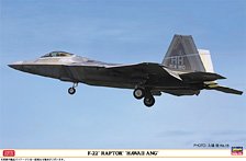 F-22 Raptor `Hawaii ANG` (Plastic model)