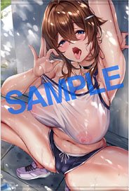 GOT Tapestry Collection 896 (Anime Toy)