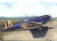 Consolidated A-11 (Plastic model)