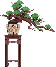 Wood Puzzle Matsu Bonsai (Puzzle)