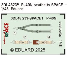 P-40N Seatbelts 3D decal (for Eduard) (Plastic model)
