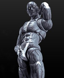 KEEPGOING Studio Human Muscle Model 1/12 Scale Action Figure Gray (Completed)