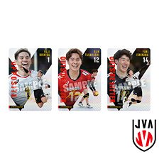 JAPAN NATIONAL VOLLEYBALL TEAM ツインウエハース 2025 (20個セット) (食玩)