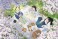 ブシロード ラバーマットコレクション V2 Vol.1766 アニメ『怪獣8号』「アニメ怪獣百景04」 (カードサプライ) 商品画像1 サムネイル