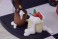 [Bonus Included] Succubus Homestay Shiori Sakuma Christmas Costume Special Ver. (PVC Figure) 商品画像7 Thumbnail