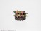 Pripra Figure no Gohan Vol.6 Fascinating Camping Food (Plastic model) 商品画像10 Thumbnail