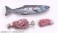 Pripra Figure no Gohan Vol.6 Fascinating Camping Food (Plastic model) 商品画像4 Thumbnail