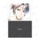 Hunter x Hunter Ani-Art Aqua Label Vol.2 Clear File (Set of 3) Ver. B (Anime Toy) 商品画像2 Thumbnail