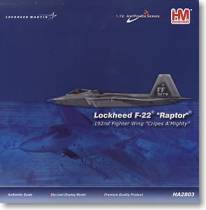F-22 ラプター `クライプス・オールマイティ` (完成品飛行機) パッケージ1