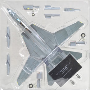 F-14B トムキャット VF-143 「ピューキングドッグス」 AG100 (完成品飛行機)