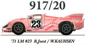 917/20 Pink Pig (レジン・メタルキット)