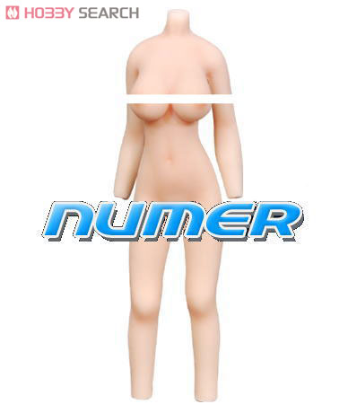 NUMER - XL (BodyColor / Numer Flesh) [Body Make Up & Partition Line Cut Model] (Fashion Doll) Item picture1