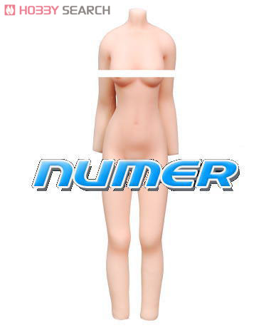 NUMER - M (BodyColor / Numer Flesh) [Body Make Up & Partition Line Cut Model] (Fashion Doll) Item picture1