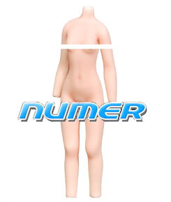 NUMER - S (BodyColor / Numer Flesh) [Body Make Up & Partition Line Cut Model] (Fashion Doll)
