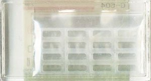 グリーンマックス製車両用 貫通ドアガラス Type.3 (京急2100形完成品用) (8両分) (鉄道模型)