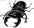 Beetle & Stag Beetle in Japan 10 pieces (Shokugan) Item picture2