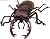 Beetle & Stag Beetle in Japan 10 pieces (Shokugan) Item picture4