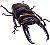 Beetle & Stag Beetle in Japan 10 pieces (Shokugan) Item picture1