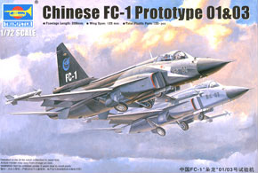 FC-1 Plot Type 1st / 3rd (Plastic model)