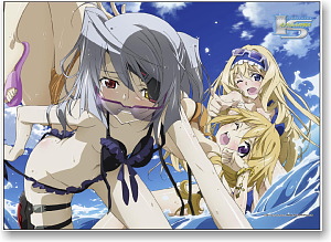 IS (Infinite Stratos) B2 Tapestry Cecilia & Charlotte & Laura (Anime Toy)