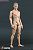 Hot Toys TrueType - 1/6 Scale Action Figure Body: New Generation - Caucasian Male (Narrow Shoulders Third Version) (Fashion Doll) Item picture1