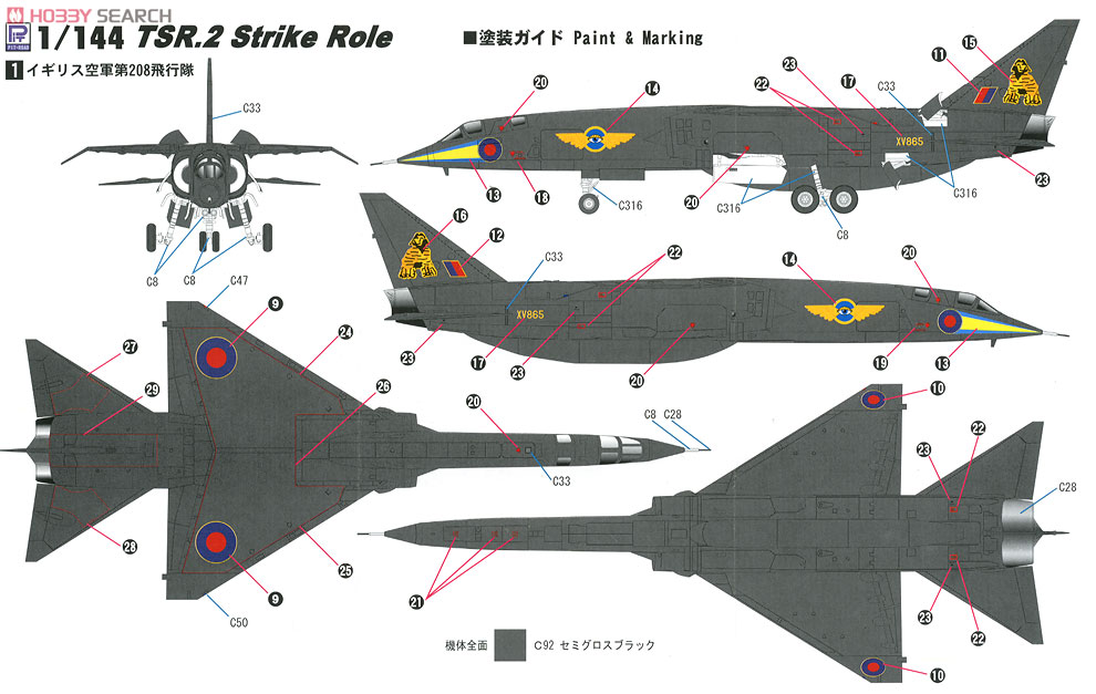 イギリス空軍 TSR.2 攻撃機仕様 (プラモデル) 塗装2