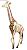 Giraffe Anatomy Model (Plastic model) (Plastic model) Other picture1