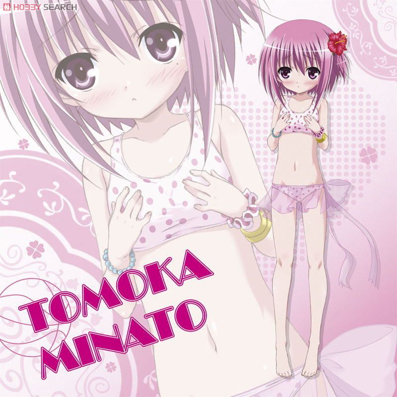 Ro-Kyu-Bu! Cushion Cover A Minato Tomoka (Anime Toy) Item picture2