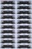 【限定品】 ホキ10000 太平洋セメント (三岐鉄道乗入タイプ・石灰石専用) (河合商会Nゲージ発売20周年記念・20両セット) (鉄道模型) 商品画像1 サムネイル
