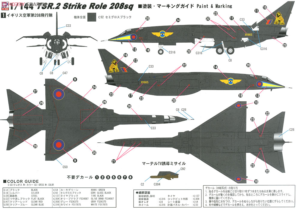 イギリス空軍 TSR.2 攻撃機仕様 塗装済組立モデルキット (プラモデル) 塗装2